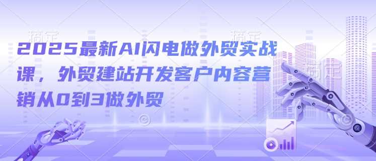 2025最新AI闪电做外贸实战课，外贸建站开发客户内容营销从0到3做外贸-鲲鹏云网创