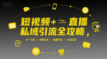 短视频+直播私域引流全攻略，IP打造 +视频引流 +直播引流 +私域沉淀-鲲鹏云网创