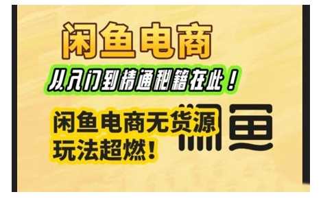 闲鱼电商实战课，从入门到精通秘籍在此，闲鱼电商无货源玩法超燃!-鲲鹏云网创