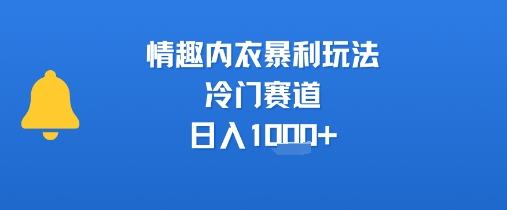 情趣内衣暴利玩法，冷门赛道，日入1k+-鲲鹏云网创