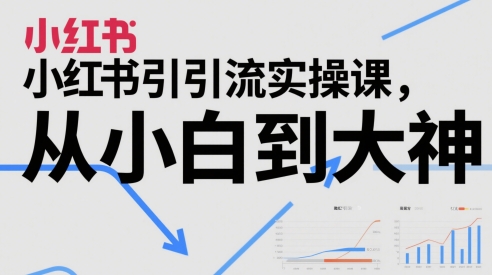 小红书引流实操课，从小白到大神-鲲鹏云网创