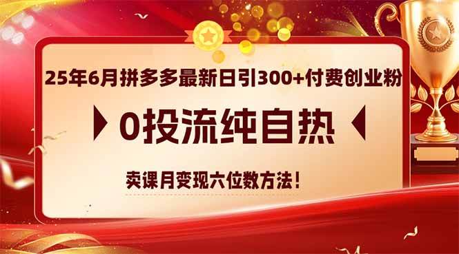 （14989期）25年6月拼多多最新日引300+付费创业粉，0投流纯自热 卖课月变现六位数方法-鲲鹏云网创