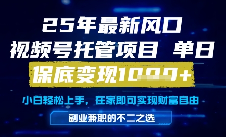 25年最新风口，视频号托管项目，单日保底变现1k+，手把手教学【揭秘】-鲲鹏云网创