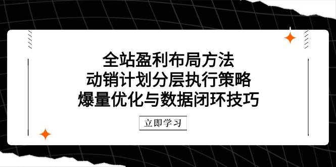 （14698期）全站盈利布局方法：动销计划分层执行策略，爆量优化与数据闭环技巧-鲲鹏云网创