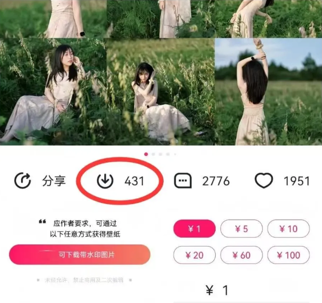 最新图虫搬运项目，收益无上限，利用AI小白也可日赚500+-鲲鹏云网创