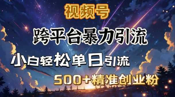 跨平台暴力引流，私域完美闭环，日引500+精准创业粉-鲲鹏云网创