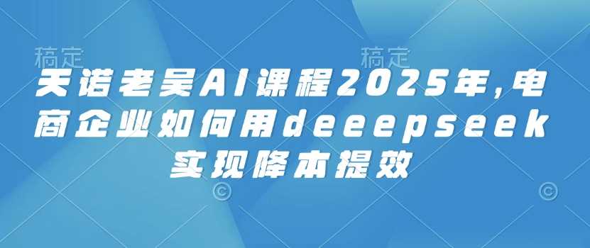 天诺老吴AI课程2025年，电商企业如何用deeepseek实现降本提效-鲲鹏云网创