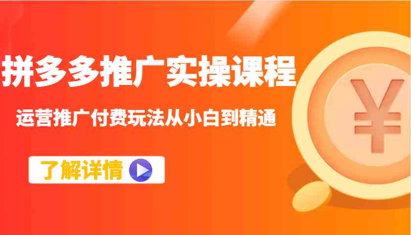 拼多多推广实操课程：运营推广付费玩法从小白到精通-鲲鹏云网创