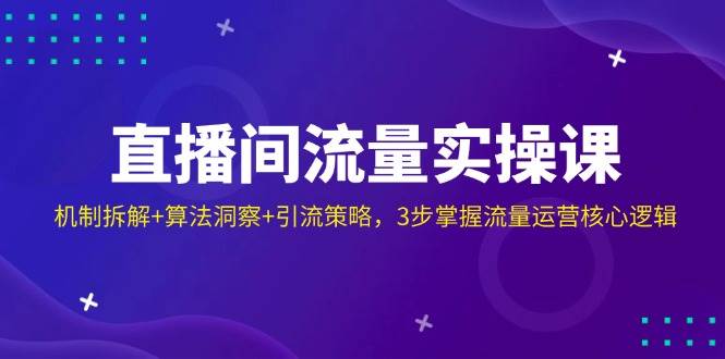 直播间流量实操课：机制拆解+算法洞察+引流策略，3步掌握流量运营核心逻辑-鲲鹏云网创