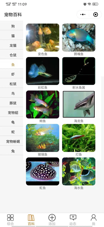 开源宠物社区微信小程序源码-鲲鹏云网创