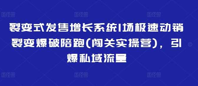 裂变式发售增长系统1场极速动销裂变爆破陪跑(闯关实操营)，引爆私域流量-鲲鹏云网创
