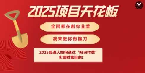 2025项目天花板普通人如何通过知识付费，实现财F自由【揭秘】-鲲鹏云网创