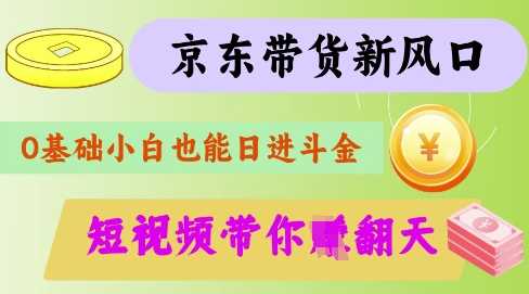 最新京东短视频带货代运营秘籍，轻松躺挣【揭秘】-鲲鹏云网创