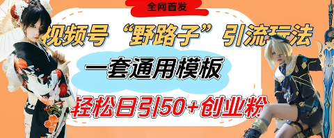 视频号“野路子”玩法，评论区疯狂截流，一套模板单日单号引流50+创业粉-鲲鹏云网创