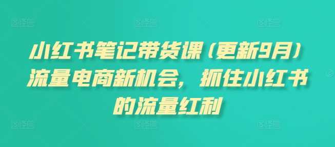小红书笔记带货课(更新25年1月)流量电商新机会，抓住小红书的流量红利-鲲鹏云网创