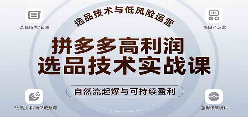 拼多多高利润选品技术实战课，手把手教学自然流高投产起爆，实现低风险可持续盈利-鲲鹏云网创