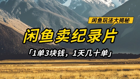 闲鱼卖纪录片1单3块钱，1天几十单，项目稳定有潜力-鲲鹏云网创
