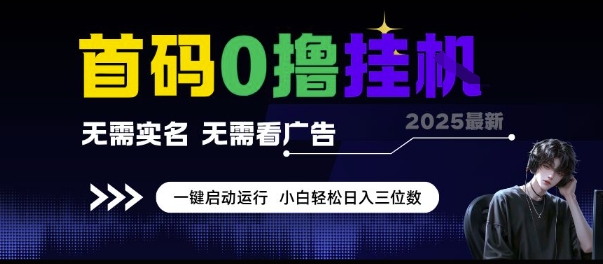 首码0撸挂G项目，无需实名无需看广告 一键启动运行，小白轻松日入三位数【揭秘】-鲲鹏云网创