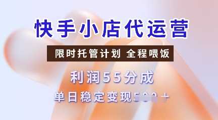 快手小店代运营，限时托管计划，收益55分，单日稳定变现多张【揭秘】-鲲鹏云网创