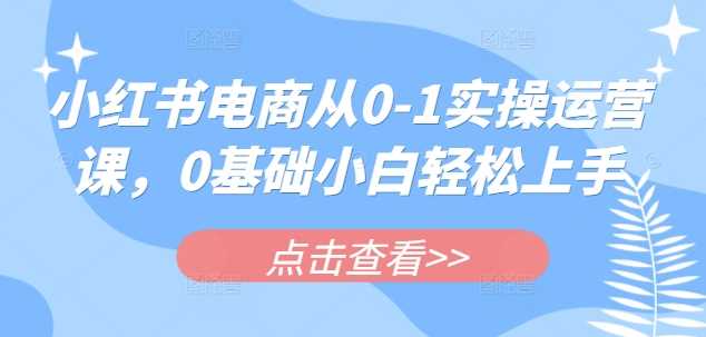 小红书电商从0-1实操运营课，0基础小白轻松上手-鲲鹏云网创
