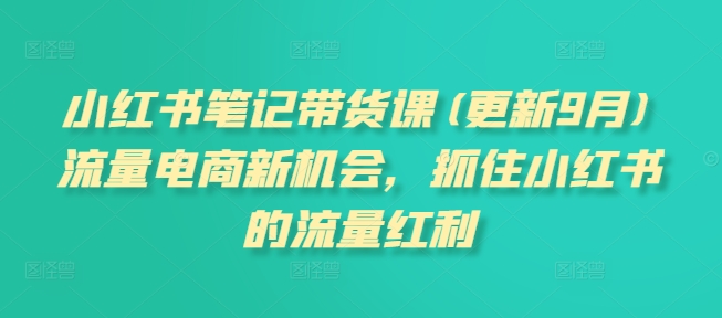 小红书笔记带货课(更新25年6月)流量电商新机会，抓住小红书的流量红利-鲲鹏云网创