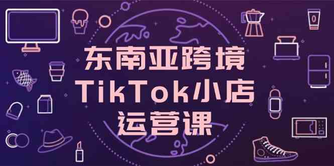 东南亚跨境TikTok小店运营课，掌握店铺设置与流量转化核心技巧-鲲鹏云网创