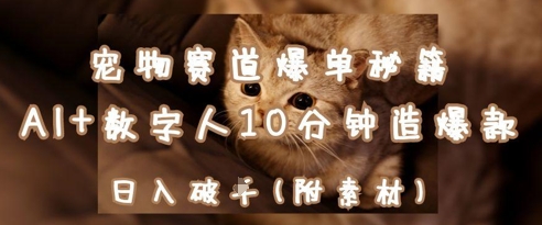 宠物赛道爆单秘籍：AI+数字人10分钟造爆款，日入1k-鲲鹏云网创