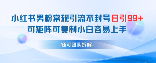 小红书男粉常规引流不封号日引99+变现简单 可矩阵可复制小白容易上手-鲲鹏云网创