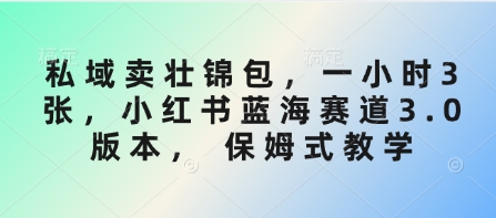 私域卖壮锦包，一小时3张，小红书蓝海赛道3.0版本， 保姆式教学-鲲鹏云网创