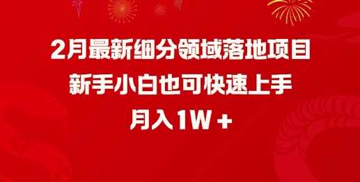 2月最新细分领域落地项目，新手小白也可快速上手，月入1W-鲲鹏云网创