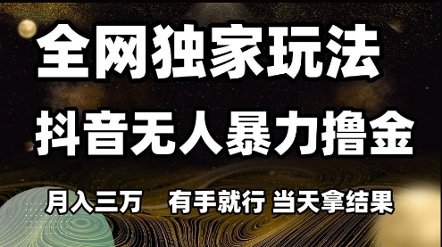 全网独家玩法抖音无人暴力撸金，月入3W，有手就行，当天拿结果【揭秘】-鲲鹏云网创