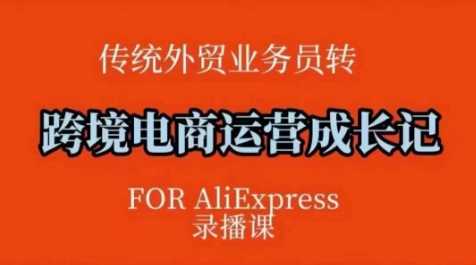跨境电商速卖通运营课，运营方法论+后台实操，逻辑清晰-鲲鹏云网创