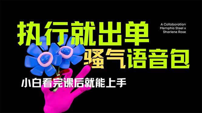 （14170期）爆火全网的开车导航骚气语音包,只要执行就出单，小白看完课程就能实操…-鲲鹏云网创
