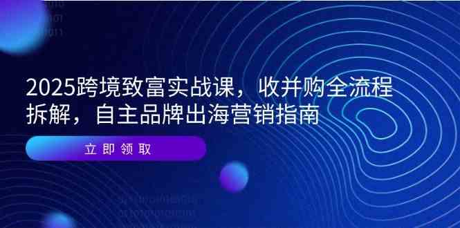 2025跨境致富实战课，收并购全流程拆解，自主品牌出海营销指南-鲲鹏云网创