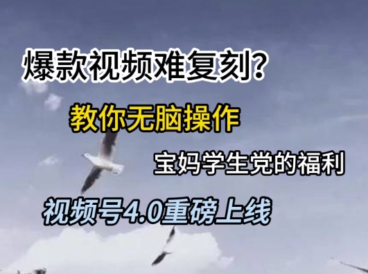 视频号4.0重磅上线，爆款视频难复刻？教你无脑操作宝妈学生党的福利【揭秘】-鲲鹏云网创