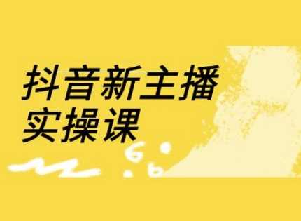 抖音新主播实操课，直播间流量运营线上实操课(18节)-鲲鹏云网创
