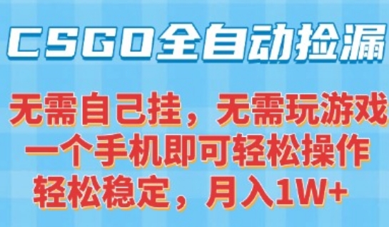 CSGO自动捡漏项目，最新独家玩法，一个手机可操作，新手小白轻松月入1W+，操作简单易上手【揭秘】-鲲鹏云网创