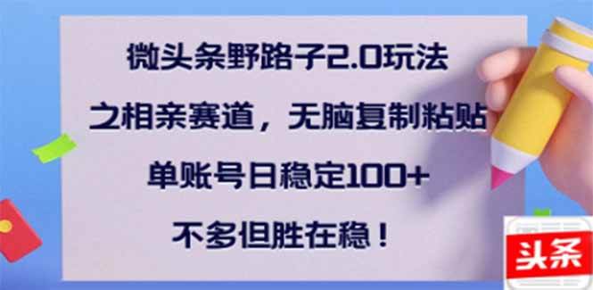 （14334期）微头条野路子2.0玩法之相亲赛道，无脑搬砖复制粘贴，单账号日稳定300+…-鲲鹏云网创