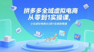 拼多多全域虚拟电商从零到1实操课，小白虚拟电商从0到1实操到精通-鲲鹏云网创