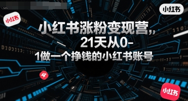 小红书涨粉变现营，21天从0-1做一个挣钱的小红书账号-鲲鹏云网创