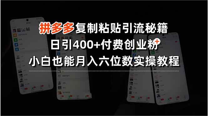 （15613期）拼多多复制粘贴引流秘籍，日引400+付费创业粉，小白也能月入六位数实操…-鲲鹏云网创