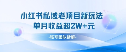 小红书私域项目新玩法，单月变现过W+-鲲鹏云网创