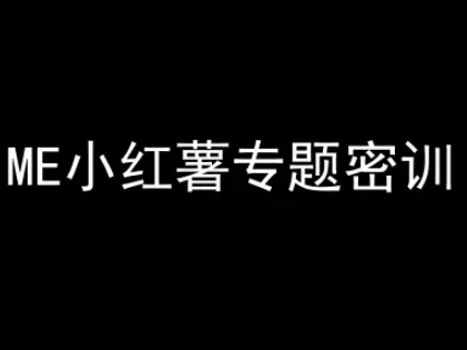 ME小红薯专题密训-小红书电商教程-鲲鹏云网创