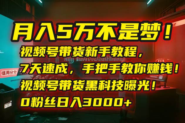 （15595期）月入5万不是梦！视频号带货新手教程，7天速成，手把手教你赚钱！视频号…-鲲鹏云网创