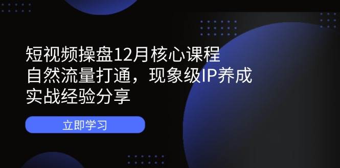 短视频操盘12月核心课程：自然流量打通，现象级IP养成，实战经验分享-鲲鹏云网创