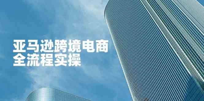 亚马逊跨境电商全流程实操，教你从零开始，掌握店铺运营与广告技巧-鲲鹏云网创