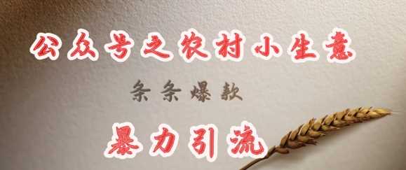 deepseek写农村小项目，条条爆款，暴力引流-鲲鹏云网创