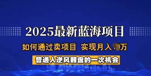 2025蓝海项目，普通人如何通过卖项目，实现月入过W，全过程【揭秘】-鲲鹏云网创