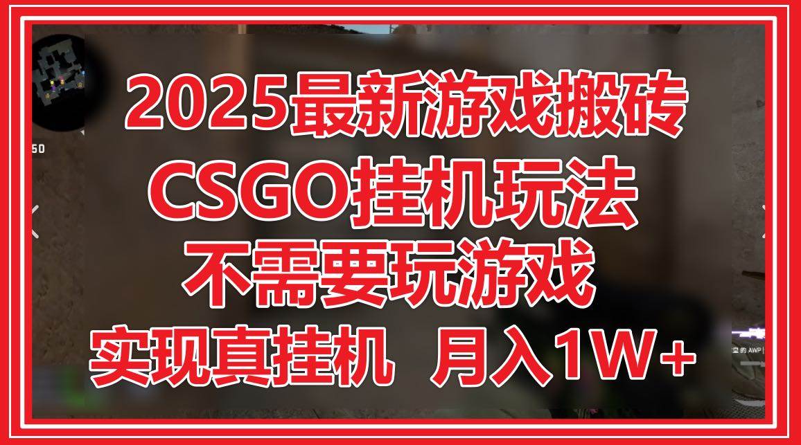 （14743期）2025最新游戏搬砖，CSGO挂机，不需要玩游戏，实现真挂机，月入1W+-鲲鹏云网创