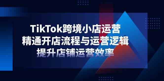 TikTok跨境小店运营，精通开店流程与运营逻辑，提升店铺运营效率-鲲鹏云网创